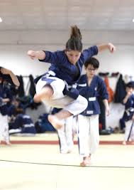 Image result for Yoseikan Budo England