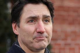 Image result for justin trudeau