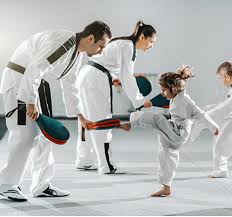 Image result for Bytomic Tae Kwon Do Windsor