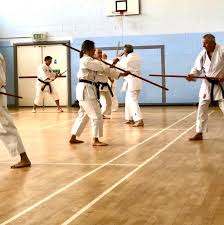 Image result for Kyomeikai Karate Club