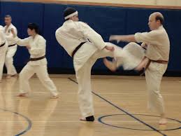 Image result for Redhill Karate Association