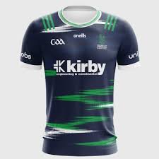 Image result for University Of Limerick Gaa Hurling Club