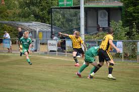 Image result for Sidmouth Town Association Football Club
