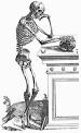 Forensic Anthropology and Human Osteology Resources - ForensicAnthro.