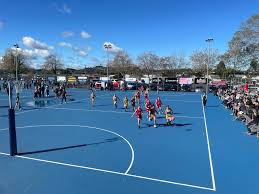 Image result for Flava Netball Club