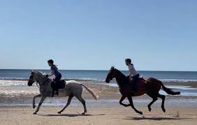 Image result for Civil Service Riding Club (Csrc)