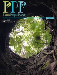 Attēlu rezultāti vaicājumam “Glyceria fluitans fruit”