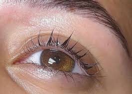 Image result for Kidsgrove Cc