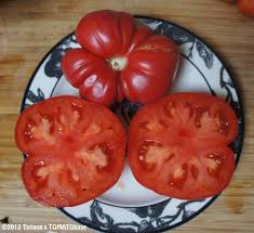 Afbeeldingsresultaat voor caspian pink tomato