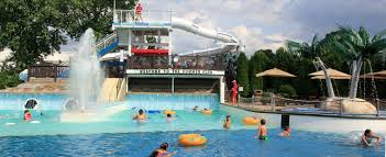 Image result for Downham & District Swimming Club