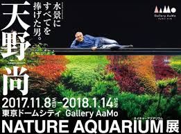 Znalezione obrazy dla zapytania takashi amano%