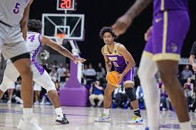 Image result for Cambridge Cats Basketball Club