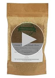 Attēlu rezultāti vaicājumam “Rumex hydrolapathum fruit”