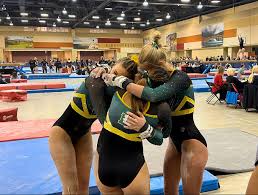 Image result for stonehaven gymnastics club