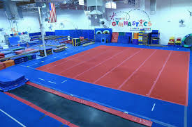 Image result for Phoenix Gymnastics