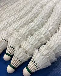 Image result for Minster (Ramsgate) Badminton Club