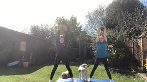 Image result for Farnham Gymnastics Club