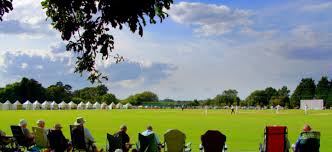 Image result for Plumtree Cricket Club