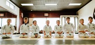 Image result for Shitokai Karate Club