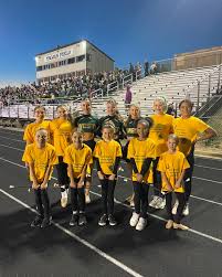 Image result for Electralites Baton Twirlers
