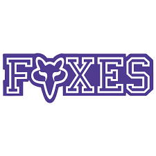 Image result for Foxes Netball Club