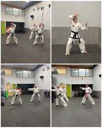 Image result for I T F Taekwondo (Andover)
