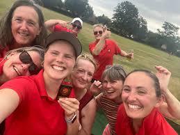 Image result for Ewhurst Stoolball Club