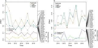 Attēlu rezultāti vaicājumam “Clavulinopsis cinerioides”