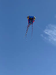 Image result for Poole Kite Fliers
