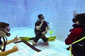 Image result for Eltham and District Sub Aqua Club