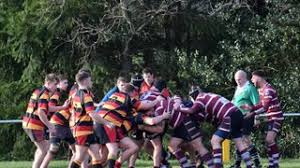 Image result for Newcastle (Staffs) Rufc Ltd