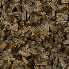 Attēlu rezultāti vaicājumam “Dipsacus fullonum fruit”