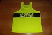 Image result for Abergele Harriers