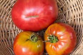 Afbeeldingsresultaat voor caspian pink tomato