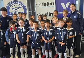 Image result for Ockley Acorns Junior F C