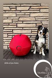 Image result for Herdings Park Football Club