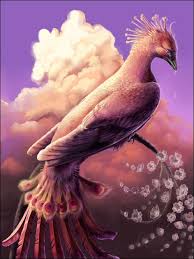 http://t0.gstatic.com/images?q=tbn:ANd9GcSIUKzoSBP9b14RrjMvXXFvXtN6ExRfYKOFlK0GUOaqm7J8M28v