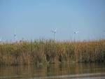 Collinsville on the Sacramento - via Daymix