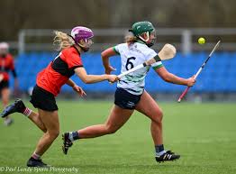 Image result for University Of Limerick Gaa Hurling Club