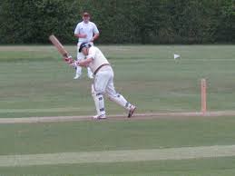 Image result for Frensham Cricket Club