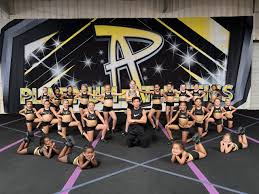 Image result for Gym Stars Cheerdancing Club