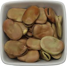 Attēlu rezultāti vaicājumam “Vicia faba”