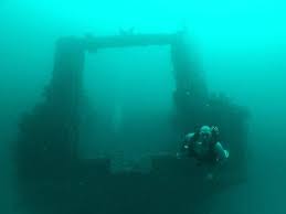 Image result for Maverick Divers