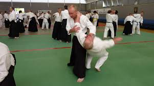 Image result for Aikido - Shobu UK