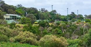 Image result for Martham Bowls Club