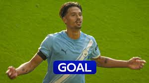 Image result for Wolverhampton City Netball League