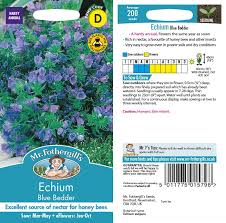 Attēlu rezultāti vaicājumam “Echium vulgare bud”