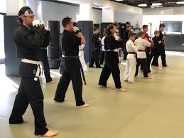 Image result for Action Karate