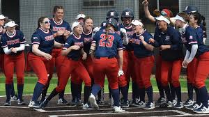 Image result for Dragons Softball Club