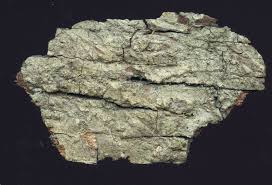 Attēlu rezultāti vaicājumam “Thelopsis rubella”